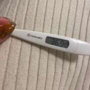 ヒメ日記 2025/01/24 23:03 投稿 柊木(ひいらぎ) 大牟田デリヘル倶楽部