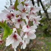 ヒメ日記 2025/04/03 21:11 投稿 柊木(ひいらぎ) 大牟田デリヘル倶楽部