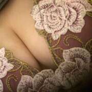 ヒメ日記 2025/05/19 07:55 投稿 ひなの 丸妻 横浜本店