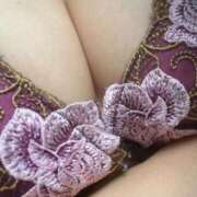 ヒメ日記 2025/06/25 08:03 投稿 ひなの 丸妻 横浜本店