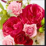 ヒメ日記 2025/04/23 15:37 投稿 るい 一夜妻