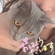 ヒメ日記 2026/02/25 10:59 投稿 るい 一夜妻