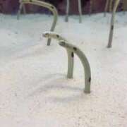 ヒメ日記 2024/12/28 08:09 投稿 さと マリン宇都宮店