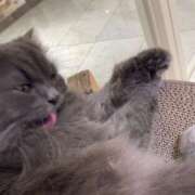 ヒメ日記 2025/01/23 14:56 投稿 さと マリン宇都宮店