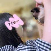 ヒメ日記 2025/04/05 08:06 投稿 さと マリン宇都宮店