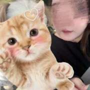 まゆ 次回出勤予告? 大阪和泉ちゃんこ