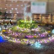 ヒメ日記 2026/01/24 02:15 投稿 じゅり 大宮人妻デリヘル～大人の事情～