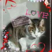 ヒメ日記 2026/02/02 19:25 投稿 じゅり 大宮人妻デリヘル～大人の事情～