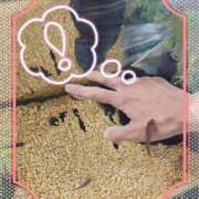 ヒメ日記 2026/03/14 01:25 投稿 じゅり 大宮人妻デリヘル～大人の事情～