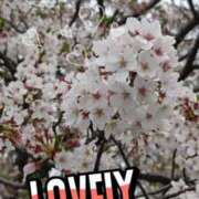 ヒメ日記 2026/04/06 19:35 投稿 じゅり 大宮人妻デリヘル～大人の事情～