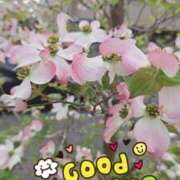 ヒメ日記 2026/04/15 11:35 投稿 じゅり 大宮人妻デリヘル～大人の事情～