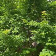 ヒメ日記 2026/05/14 02:35 投稿 じゅり 大宮人妻デリヘル～大人の事情～