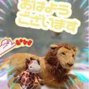 ヒメ日記 2026/05/14 10:30 投稿 じゅり 大宮人妻デリヘル～大人の事情～