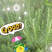 ヒメ日記 2026/06/13 12:25 投稿 じゅり 大宮人妻デリヘル～大人の事情～