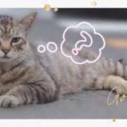 ヒメ日記 2026/06/15 23:05 投稿 じゅり 大宮人妻デリヘル～大人の事情～