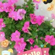 ヒメ日記 2026/07/23 17:29 投稿 じゅり 大宮人妻デリヘル～大人の事情～