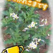 ヒメ日記 2026/08/11 22:05 投稿 じゅり 大宮人妻デリヘル～大人の事情～
