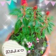 ヒメ日記 2026/09/26 15:25 投稿 じゅり 大宮人妻デリヘル～大人の事情～