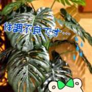 ヒメ日記 2026/10/03 15:35 投稿 じゅり 大宮人妻デリヘル～大人の事情～