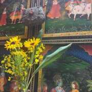 ヒメ日記 2025/05/12 18:01 投稿 みるく 金の玉クラブ池袋～密着睾丸マッサージ～