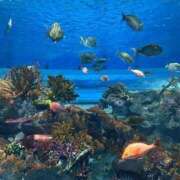 ヒメ日記 2025/07/10 14:44 投稿 みるく 金の玉クラブ池袋～密着睾丸マッサージ～