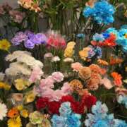 ヒメ日記 2025/10/18 10:14 投稿 みるく 金の玉クラブ池袋～密着睾丸マッサージ～