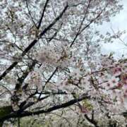 ヒメ日記 2026/04/06 17:56 投稿 みるく 金の玉クラブ池袋～密着睾丸マッサージ～