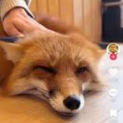 ヒメ日記 2025/10/07 21:27 投稿 あおい 完熟ばなな 横浜