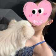 ゆいか マッ〇中のお願いです…！ コートダジュール