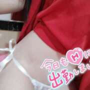 ヒメ日記 2025/03/19 19:12 投稿 れもん ジャパンクラブ富士