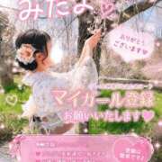 れもん 今日から💕 ジャパンクラブ富士