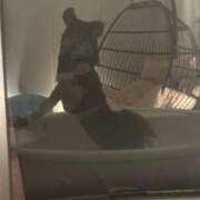 ヒメ日記 2025/04/19 21:20 投稿 きらら どMばすたーず すすきの店