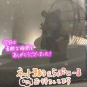 ヒメ日記 2025/05/09 05:15 投稿 きらら どMばすたーず すすきの店