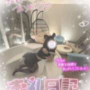 ヒメ日記 2025/06/14 05:16 投稿 きらら どMばすたーず すすきの店