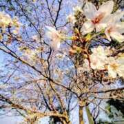 ヒメ日記 2026/04/02 22:55 投稿 神坂礼子(かみさかれいこ) Montrachet(モンラッシェ)