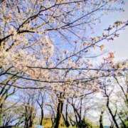 ヒメ日記 2026/04/19 09:45 投稿 神坂礼子(かみさかれいこ) Montrachet(モンラッシェ)