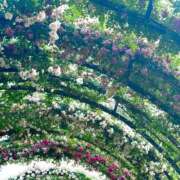 ヒメ日記 2026/05/23 09:05 投稿 神坂礼子(かみさかれいこ) Montrachet(モンラッシェ)