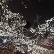 ヒメ日記 2025/04/07 14:10 投稿 めい【性感】 性感エステBianca豊中店