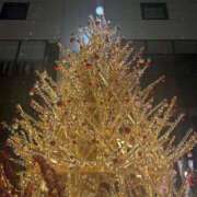 ヒメ日記 2025/12/16 11:51 投稿 りんの 奥様特急長岡店