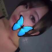 ヒメ日記 2025/09/17 19:49 投稿 あげは スピードエコ日本橋店