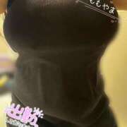 ヒメ日記 2025/04/03 14:49 投稿 桃山 BBW（ビッグビューティフルウーマン）