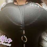 ヒメ日記 2025/04/24 12:41 投稿 桃山 BBW（ビッグビューティフルウーマン）