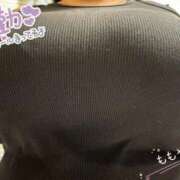 ヒメ日記 2025/09/23 15:39 投稿 桃山 BBW（ビッグビューティフルウーマン）