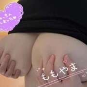 ヒメ日記 2025/10/14 10:34 投稿 桃山 BBW（ビッグビューティフルウーマン）