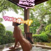 ヒメ日記 2025/08/20 08:03 投稿 りょう 西船人妻花壇