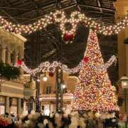 ヒメ日記 2025/11/18 22:09 投稿 りょう 西船人妻花壇