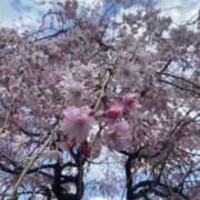 ヒメ日記 2025/04/07 21:00 投稿 井関 綾乃 人妻セレブ宮殿