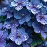 ヒメ日記 2025/06/14 22:24 投稿 井関 綾乃 人妻セレブ宮殿