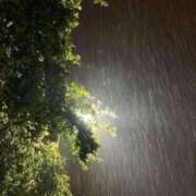 ヒメ日記 2025/07/17 00:02 投稿 井関 綾乃 人妻セレブ宮殿