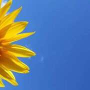 ヒメ日記 2025/08/01 09:19 投稿 井関 綾乃 人妻セレブ宮殿